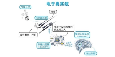 蘇州餐館裝上“電子鼻” 對油煙凈化器進行無死角、不間斷監測